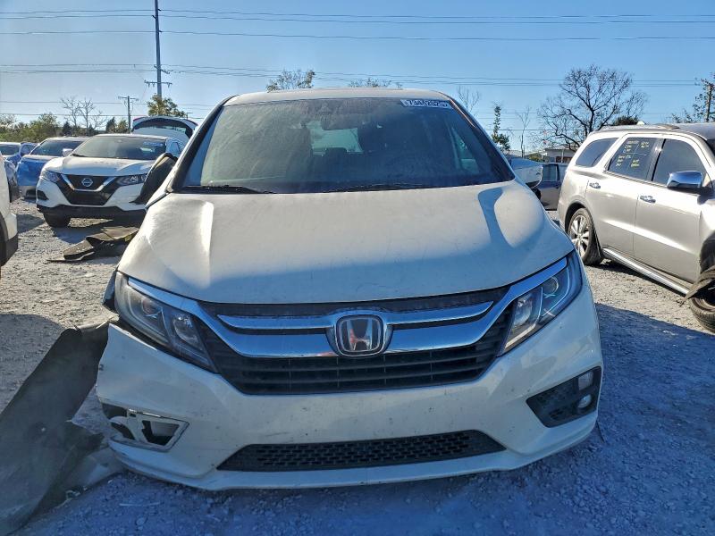 Фото 5 - HONDA All Models