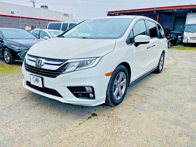 Фото 2 - HONDA All Models