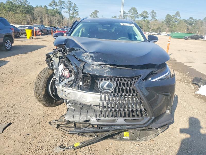 LEXUS NX 250 BAS 2024 VIN 2T2ADCAZ0RC011991