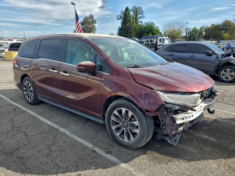 Фото 4 - HONDA All Models