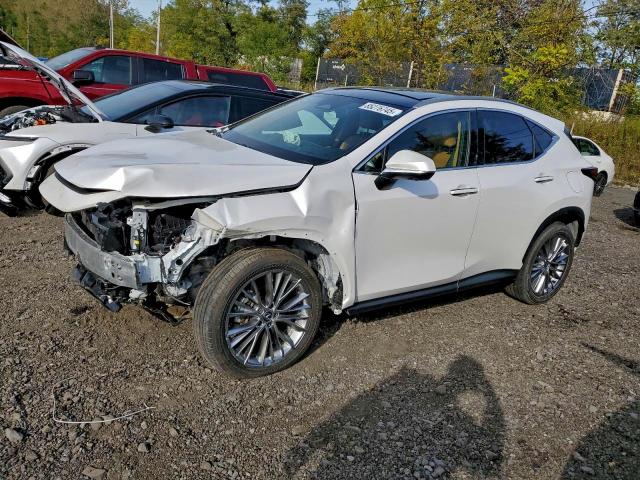 LEXUS NX 350H BA 2025 VIN 2T2HKCEZ0SC037592