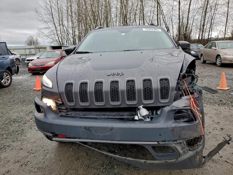 JEEP CHEROKEE 2016 VIN 1C4PJMBS5GW233087