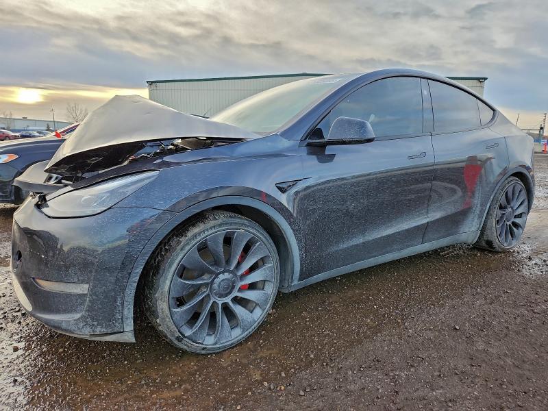 Фото 1 - TESLA MODEL Y