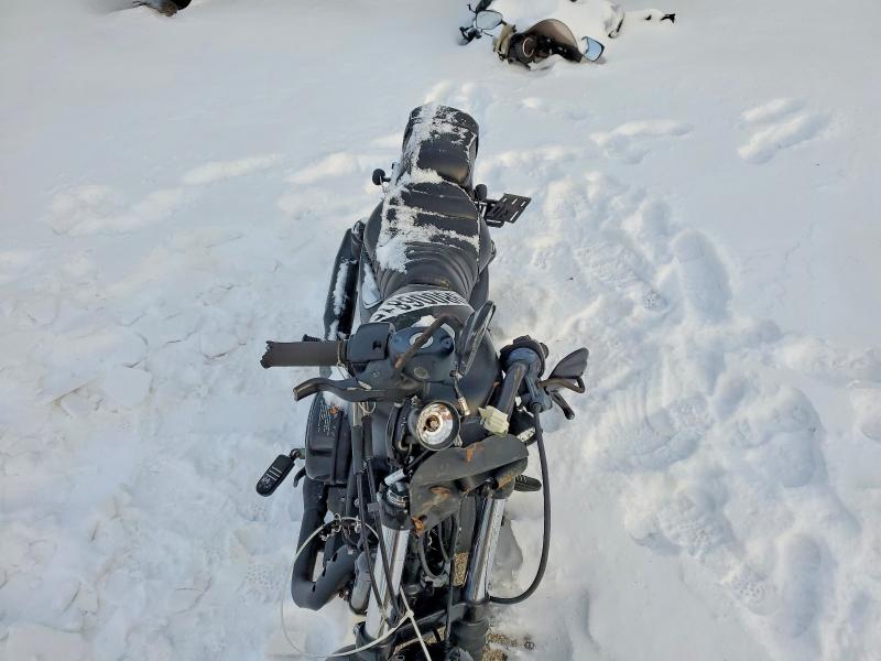 HARLEY-DAVIDSON XL883 N 2021