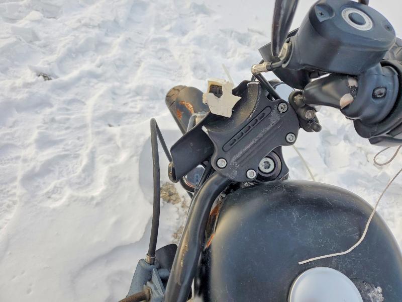 HARLEY-DAVIDSON XL883 N 2021