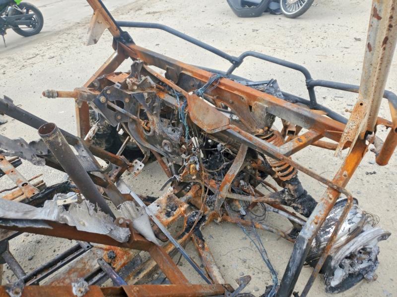 CAN-AM DEFENDER 2019