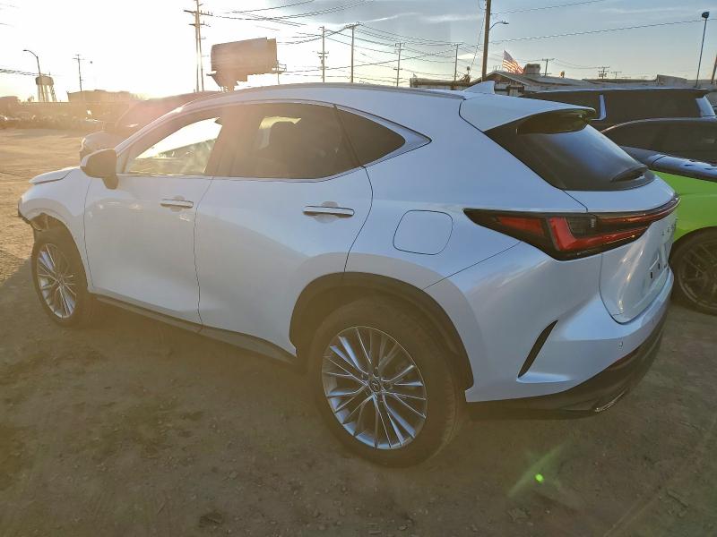 LEXUS NX 350 LUX 2024 VIN 2T2HGCEZ1RC048676
