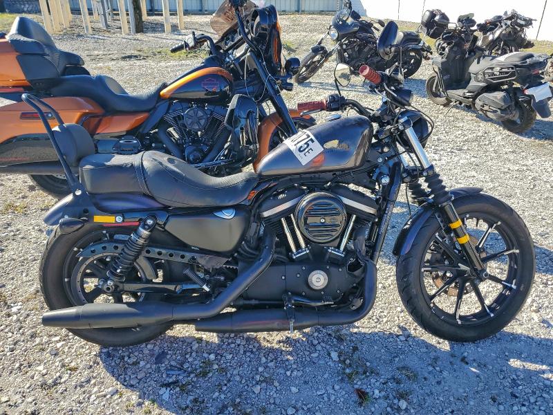 HARLEY-DAVIDSON XL883 N 2019
