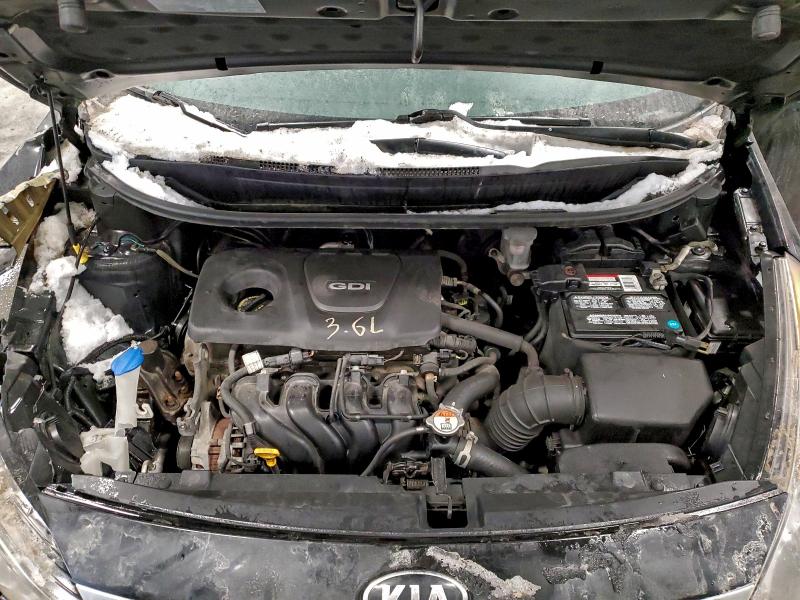 Фото 11 - KIA RIO