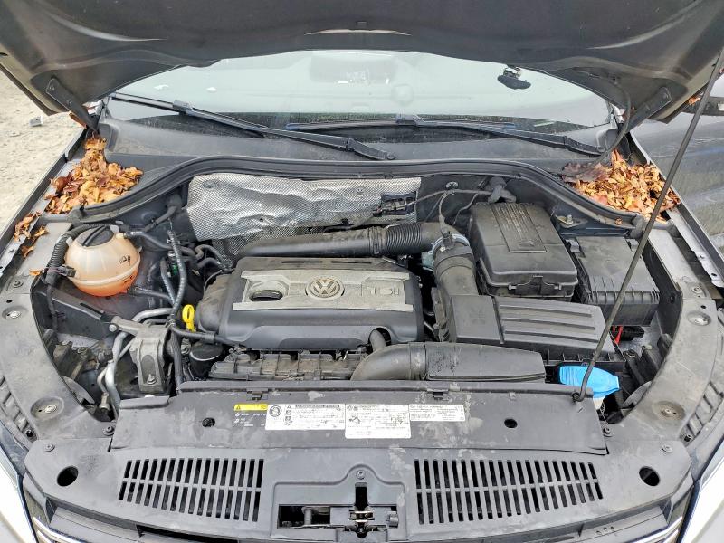 Фото 12 - VOLKSWAGEN TIGUAN