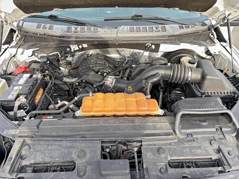 Фото 7 - FORD All Models