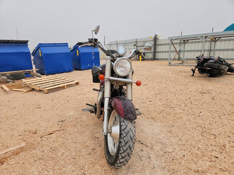 TRIUMPH AMERICA 2014