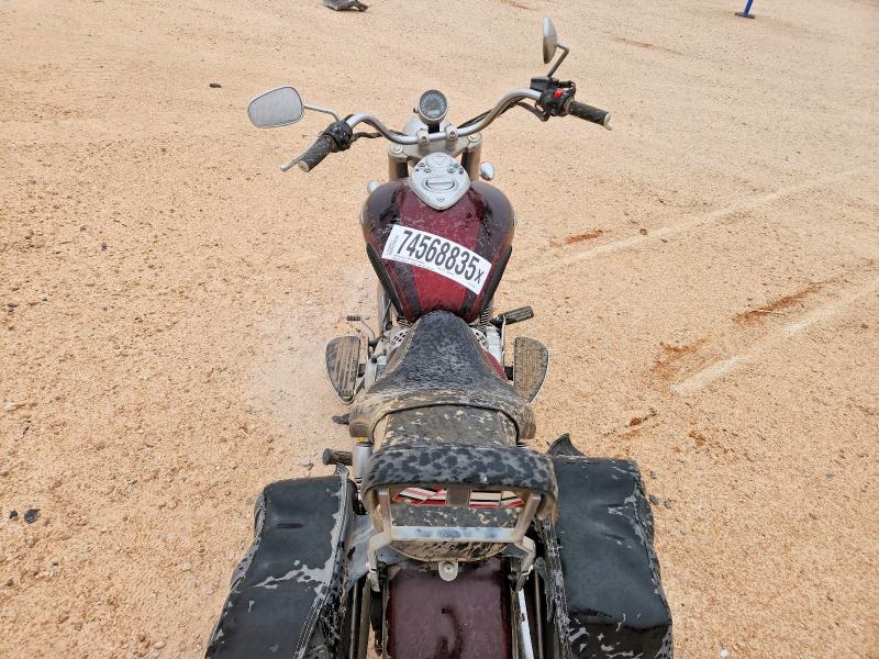 TRIUMPH AMERICA 2014