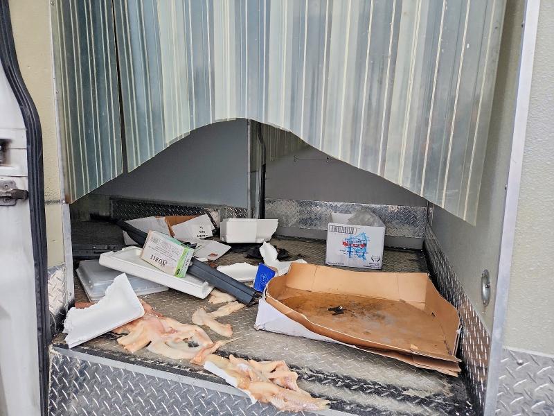 Фото 11 - FORD TRANSIT