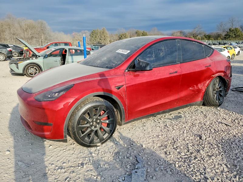 Фото 1 - TESLA MODEL Y