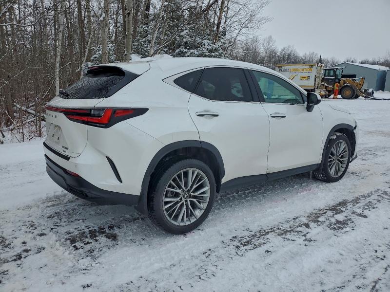 Фото 3 - LEXUS NX 350 PRE