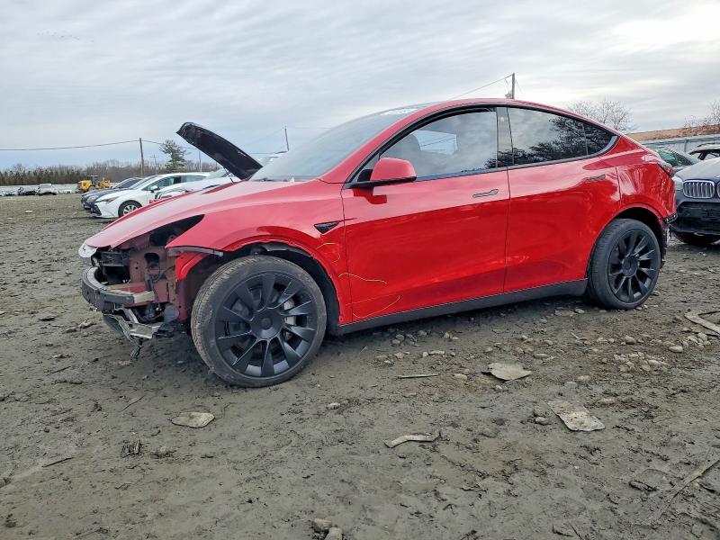 Фото 1 - TESLA MODEL Y