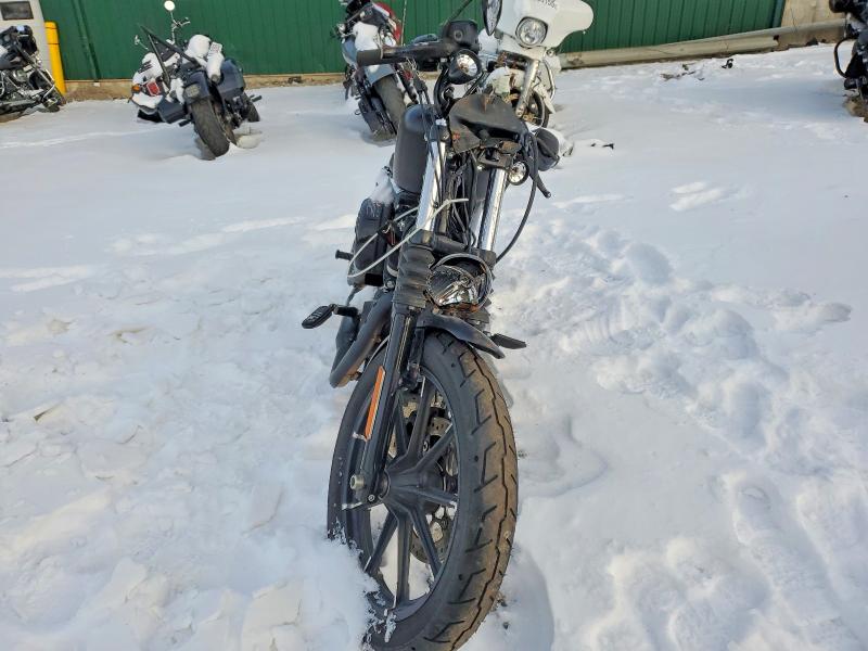 HARLEY-DAVIDSON XL883 N 2021