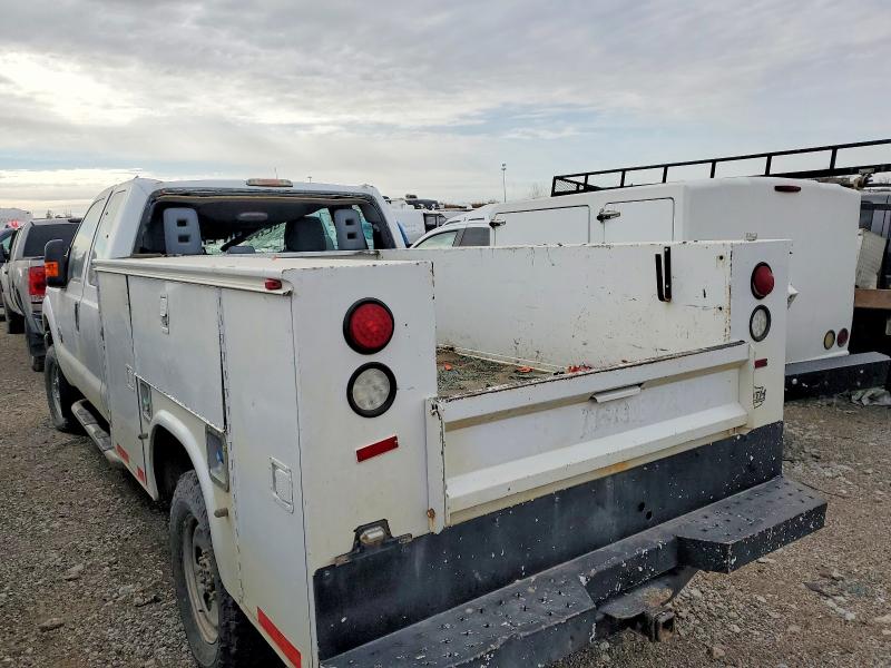 Фото 2 - FORD All Models