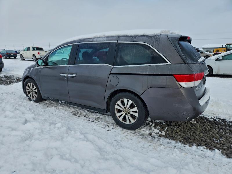 Фото 2 - HONDA All Models