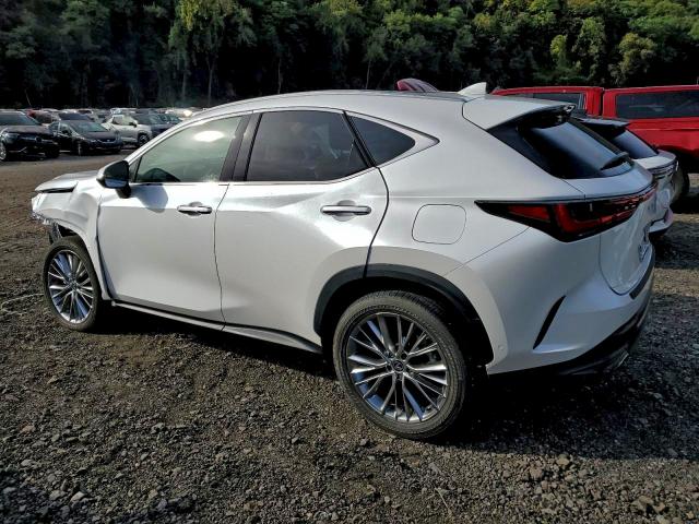 LEXUS NX 350H BA 2025 VIN 2T2HKCEZ0SC037592