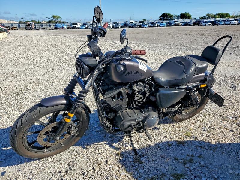 HARLEY-DAVIDSON XL883 N 2019