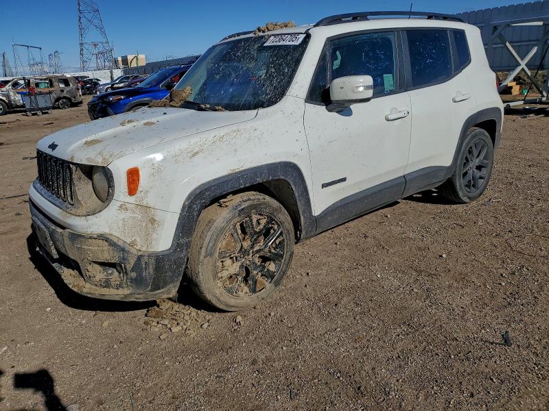 Фото 1 - JEEP RENEGADE