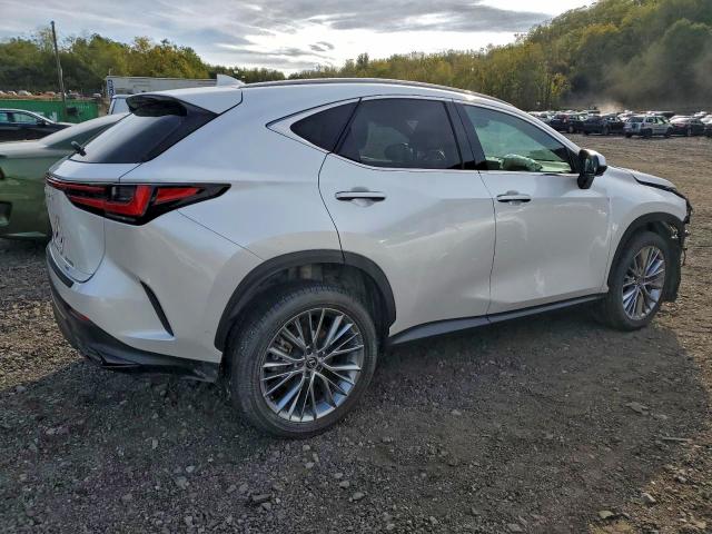 LEXUS NX 350H BA 2025 VIN 2T2HKCEZ0SC037592