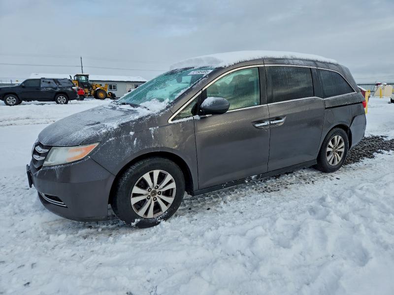 Фото 1 - HONDA All Models