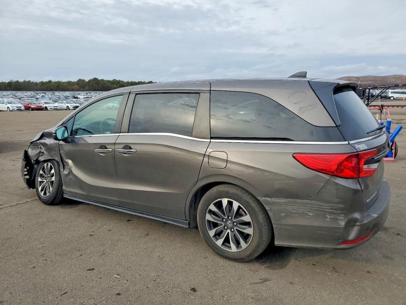 Фото 2 - HONDA All Models