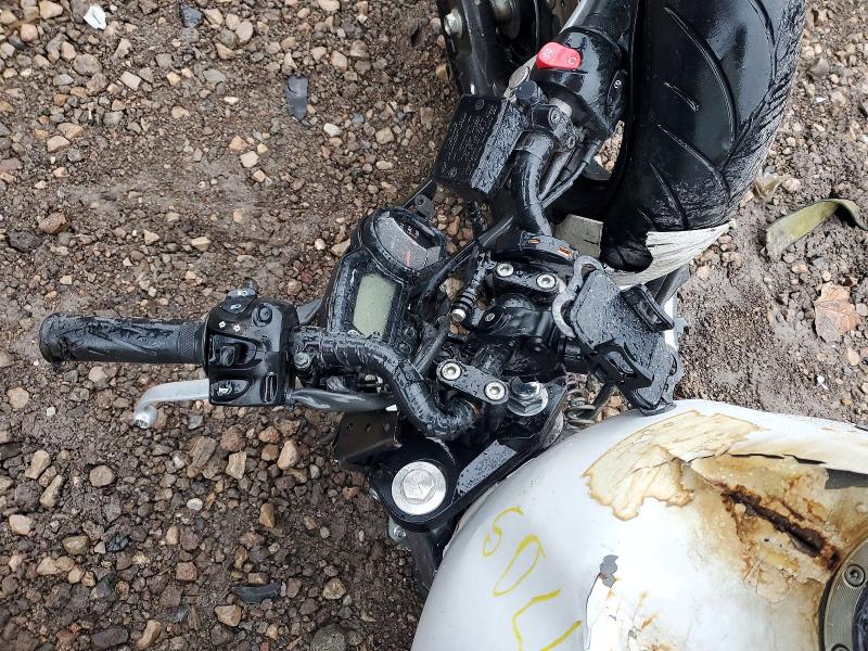 YAMAHA FZ600-800 2009