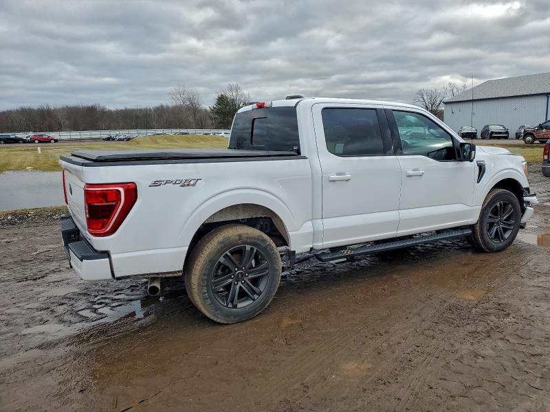 Фото 3 - FORD F-150