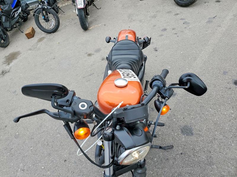 HARLEY-DAVIDSON XL883 N 2020