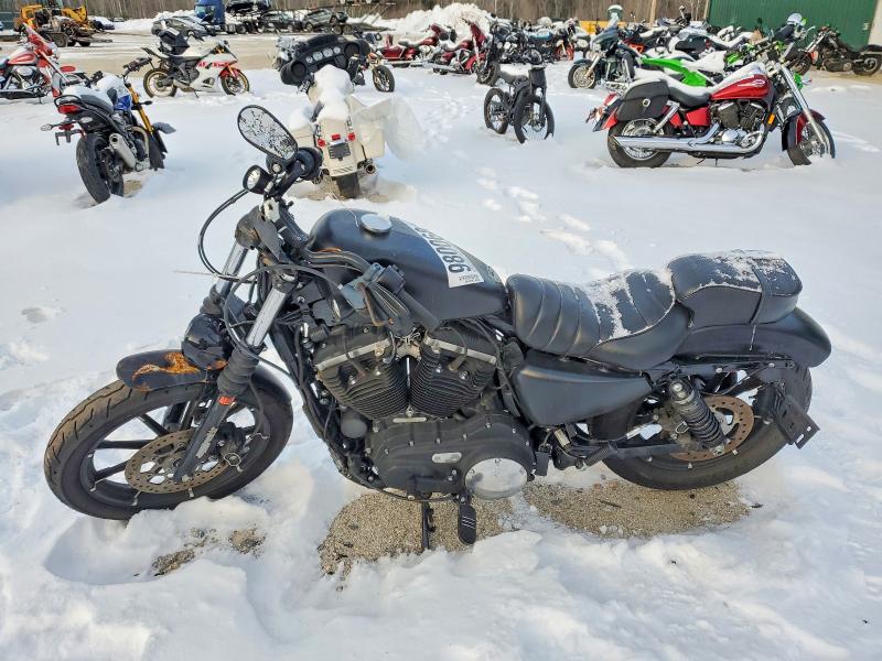 HARLEY-DAVIDSON XL883 N 2021