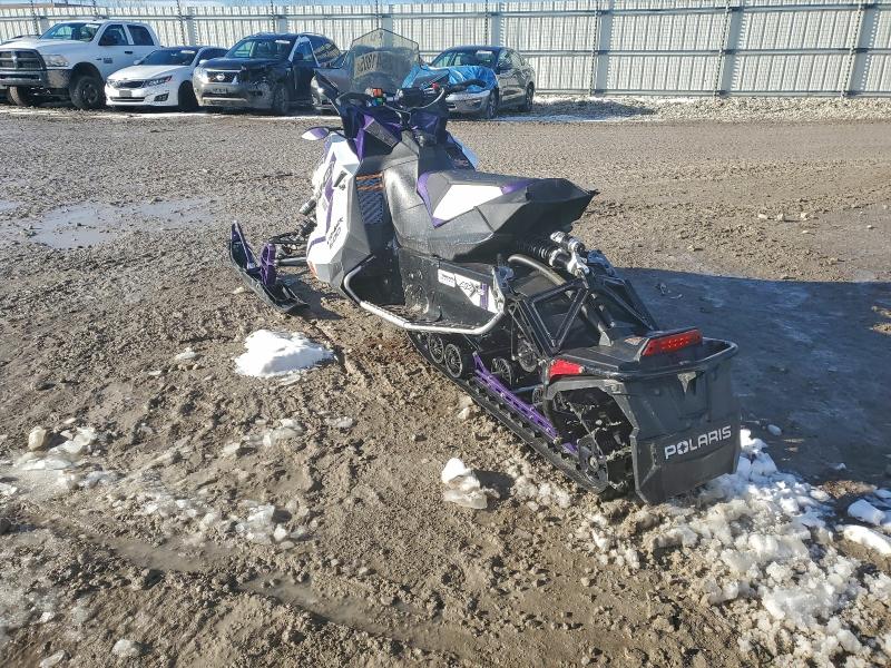 POLARIS SWITCHBACK 2021