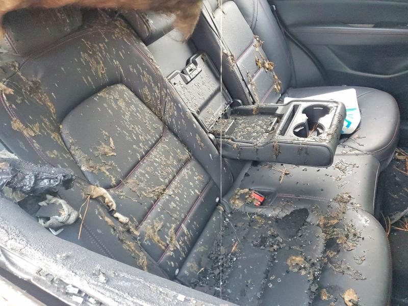 MAZDA CX-5 PREFE 2024 VIN JM3KFBCL6R0520197