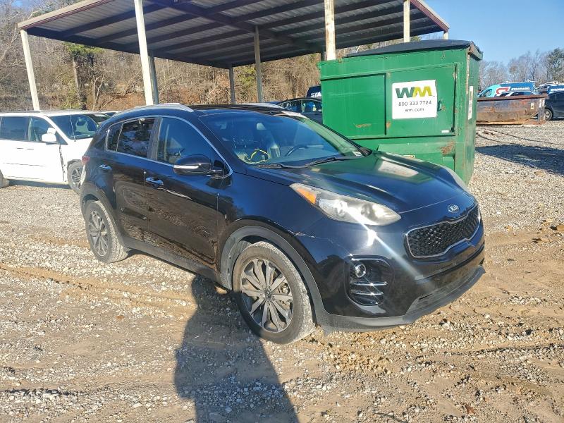 Фото 4 - KIA SPORTAGE