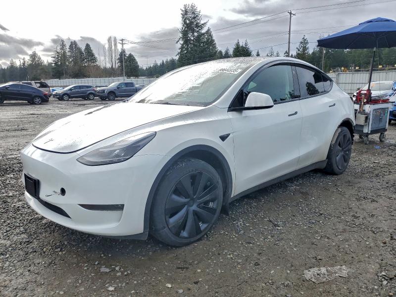 Фото 1 - TESLA MODEL Y