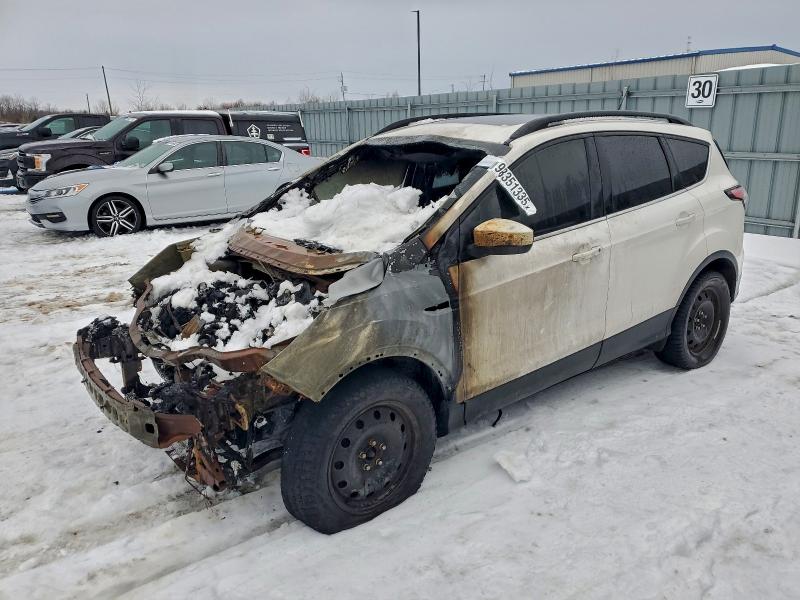 Фото 1 - FORD ESCAPE