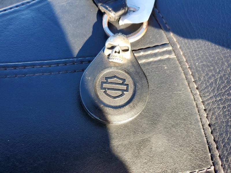 HARLEY-DAVIDSON FLDE 2019