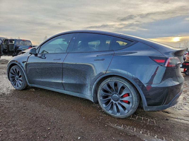 Фото 2 - TESLA MODEL Y