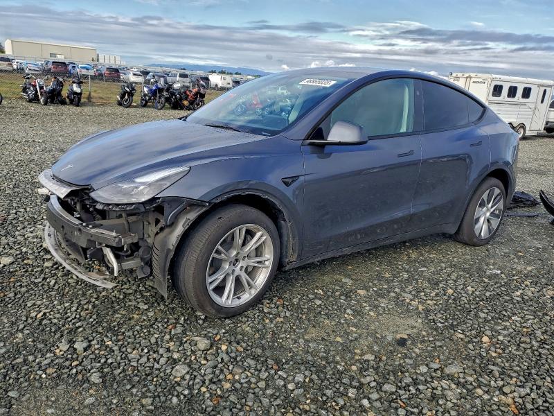 Фото 1 - TESLA MODEL Y
