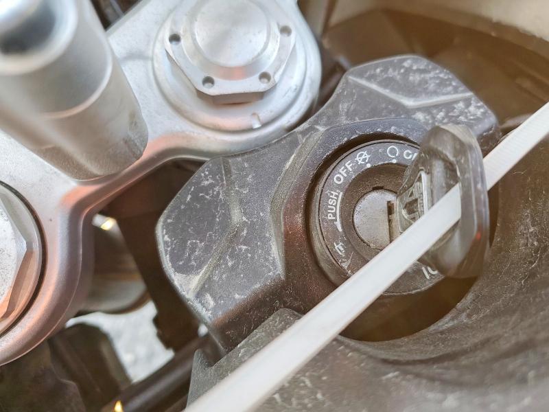 TRIUMPH TIGER 900 2021