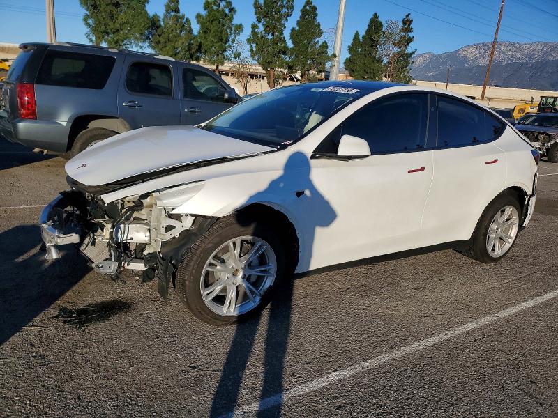 Фото 1 - TESLA MODEL Y