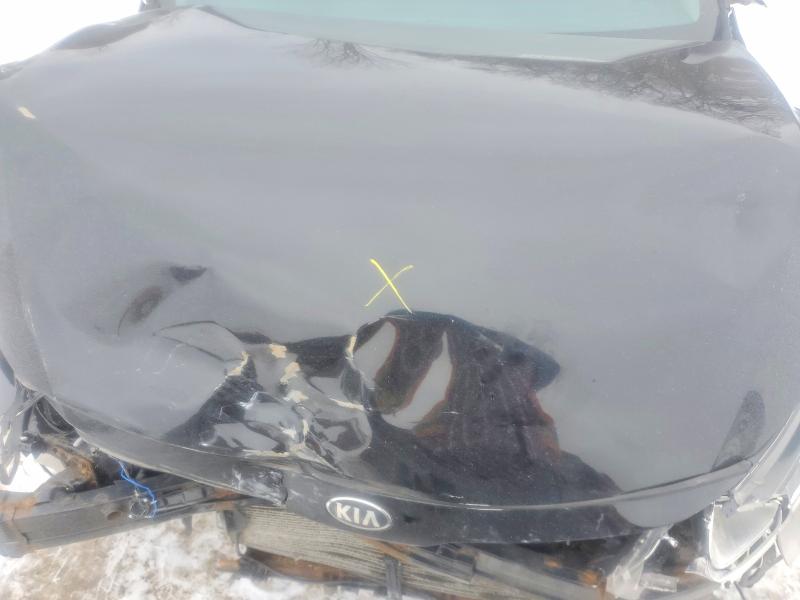 Фото 11 - KIA OPTIMA