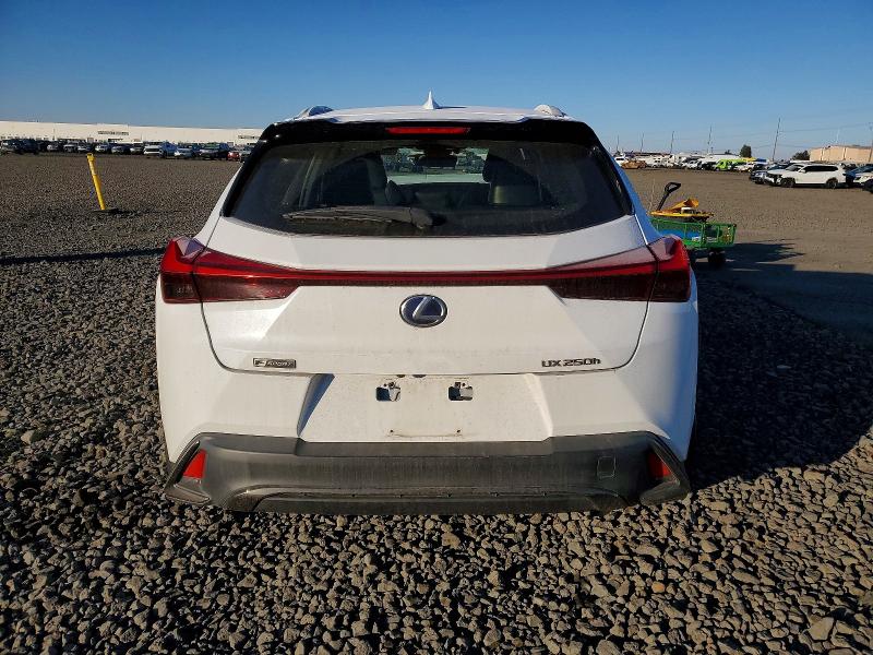 LEXUS UX 250H 2019 VIN JTHU9JBH9K2018552