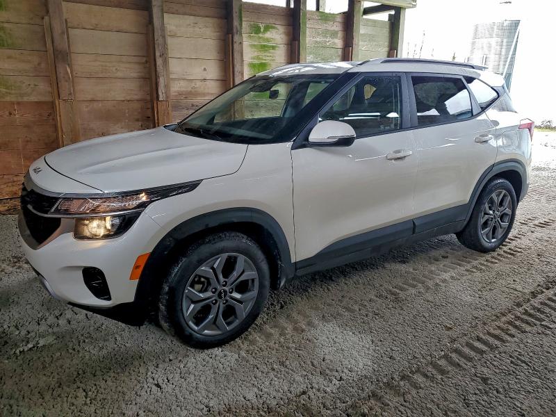 Фото 1 - KIA SELTOS