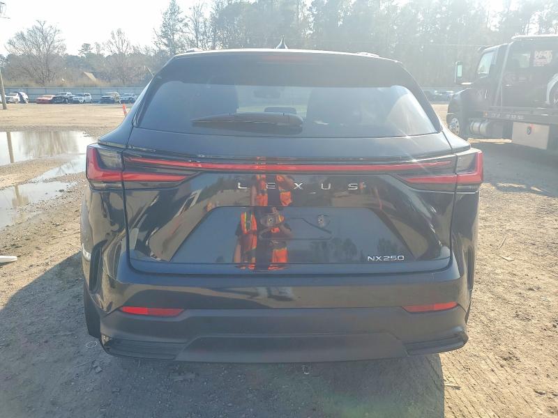 LEXUS NX 250 BAS 2024 VIN 2T2ADCAZ0RC011991