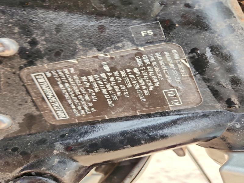 TRIUMPH AMERICA 2014