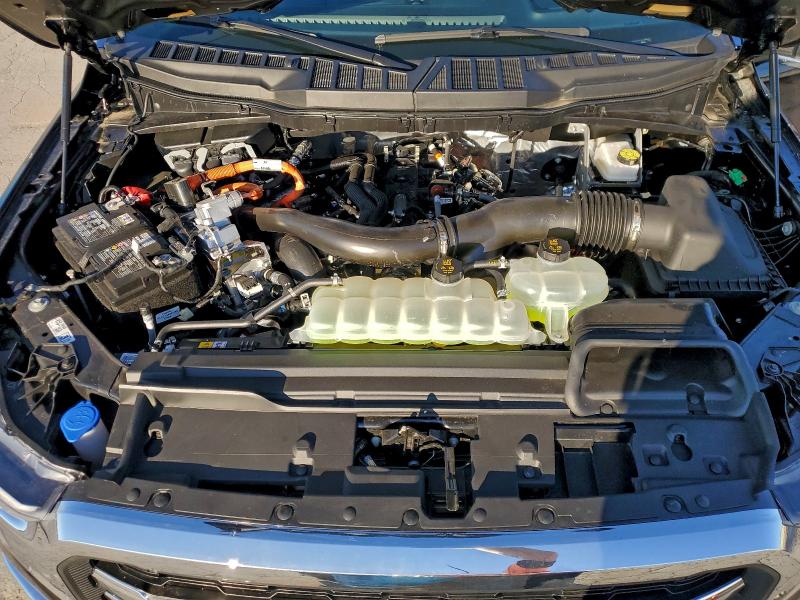 FORD F150 LARIA 2025 VIN 1FTFW5LD8SFB25669